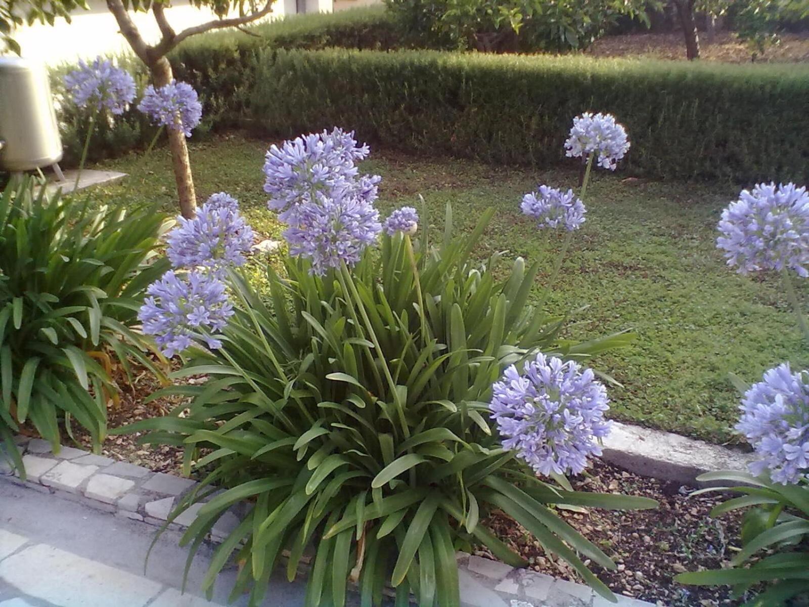 Apartments Vin Trogir Ngoại thất bức ảnh